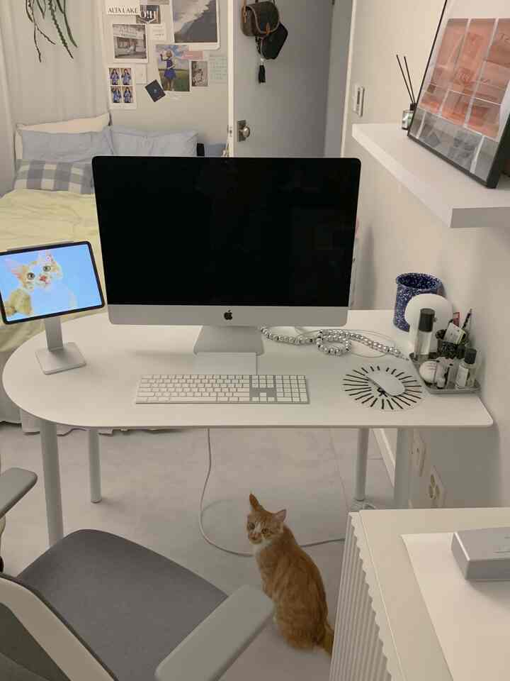 White-toned studio apartment home office space featuring a desk with computer at center and a cat sitting below, cozy atmosphere