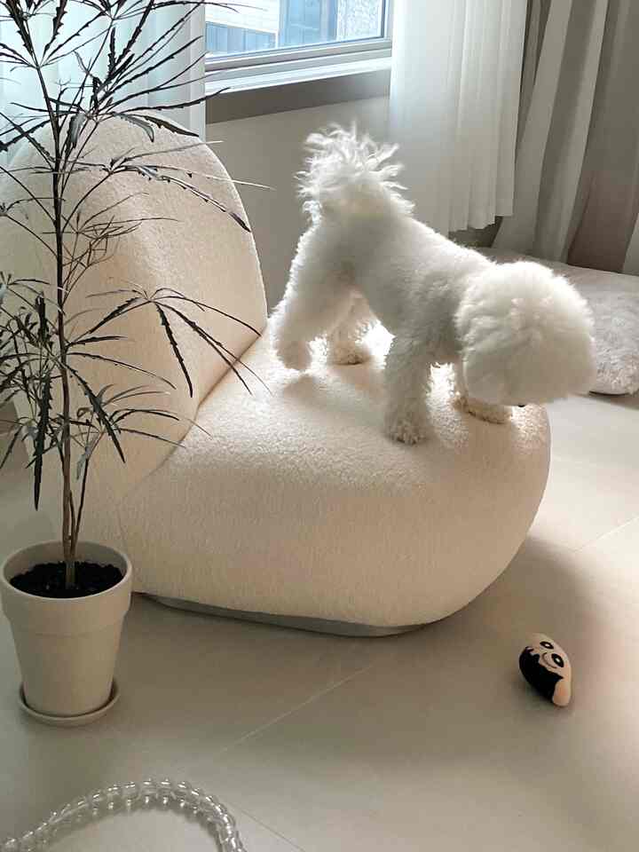 White-toned living room featuring a wooly single-seater sofa with a dog standing on it, creating a cozy modern atmosphere