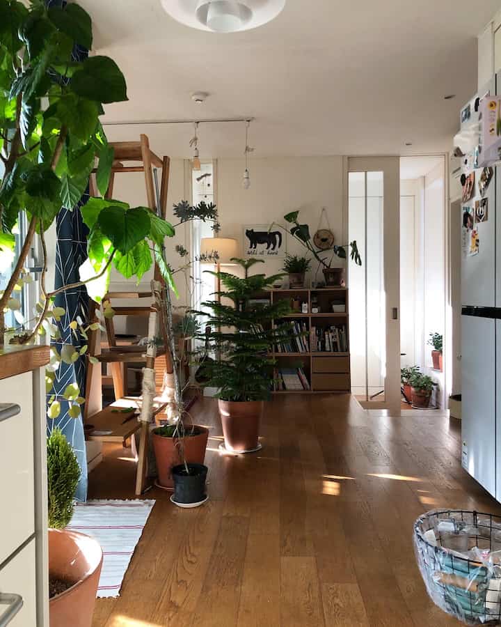 White-walled living room with wood-tone flooring, featuring multiple plants and a cat tower, creating a natural and cozy atmosphere