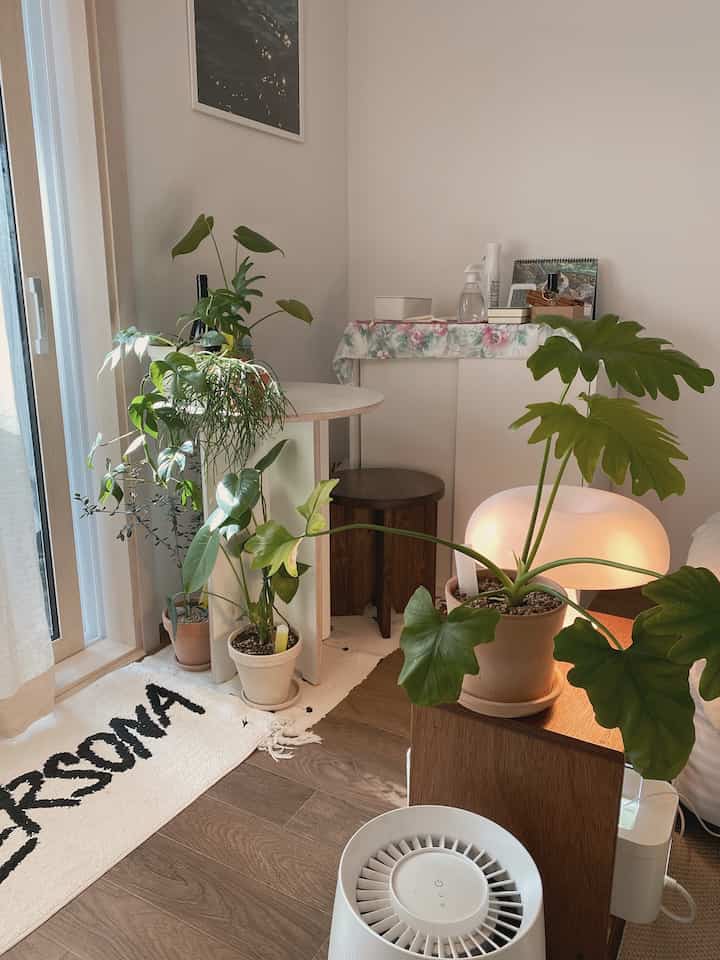 Bright natural-toned small living room with centrally placed plants and glowing table lamp on right, creating a cozy remote work environment