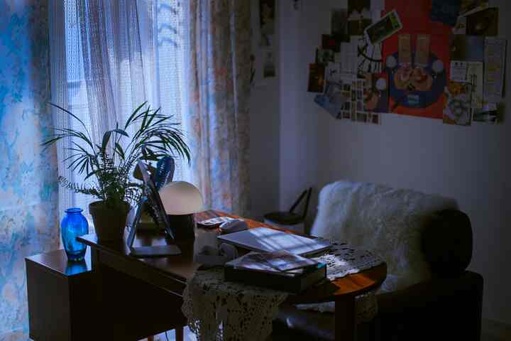 Cozy home office space featuring blue-toned curtains, a brown wooden desk, and a green plant
