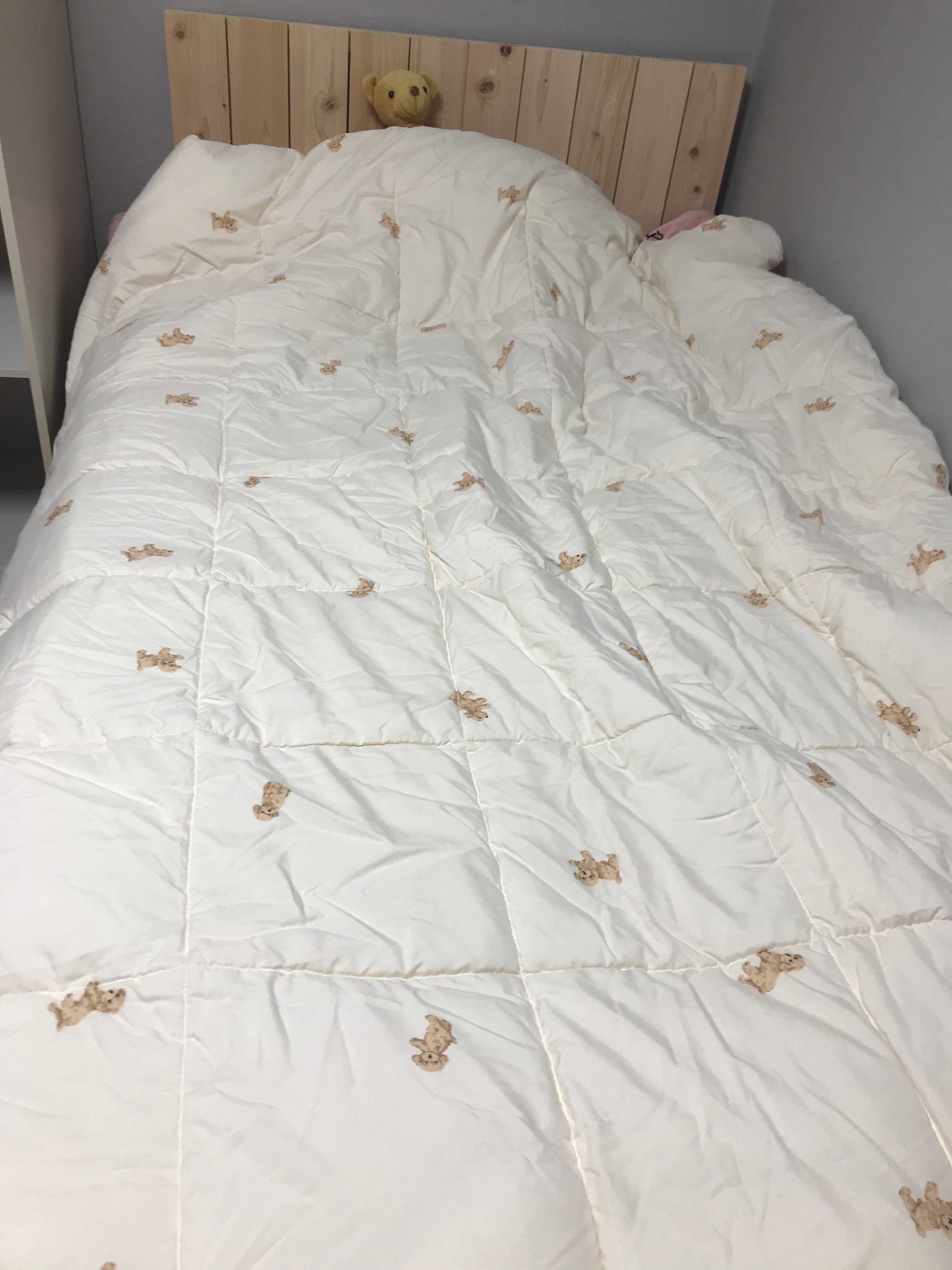 Soft Cream Peach Comforter & Pillow Set user photo