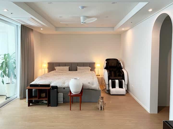 Bright bedroom with gray bed and brown wood flooring featuring nightstands and a massage chair, with a cat sitting on the floor