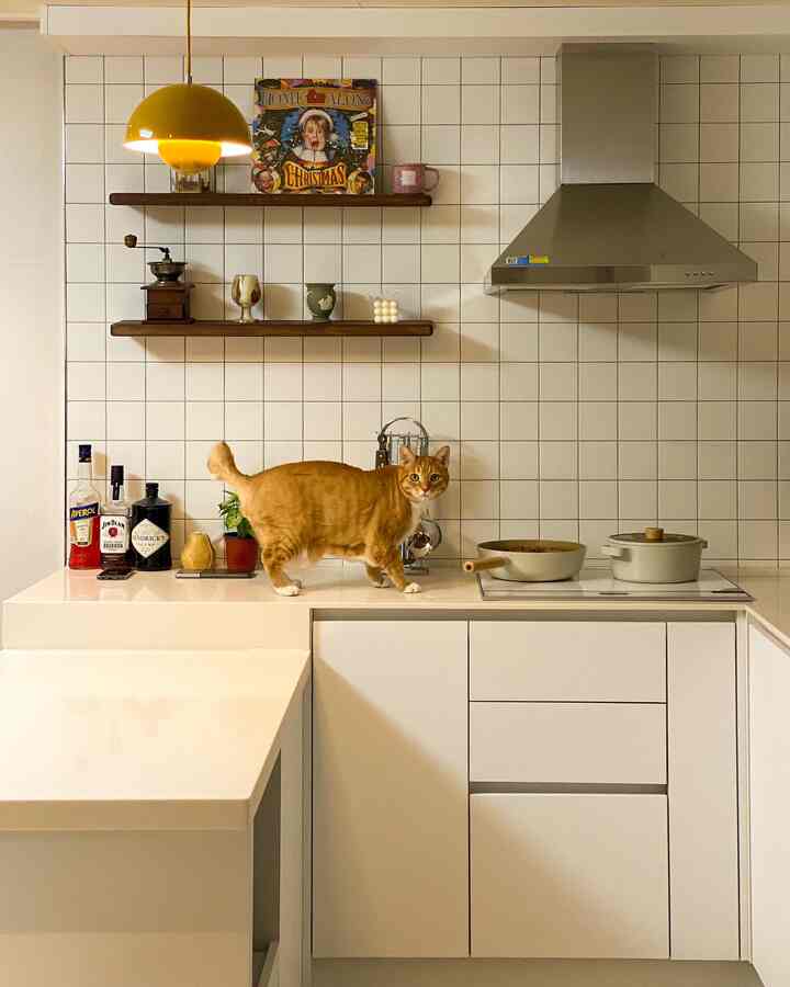 White and beige toned kitchen featuring a kitchen island, a cat, and a warm yellow pendant light, creating a cozy atmosphere