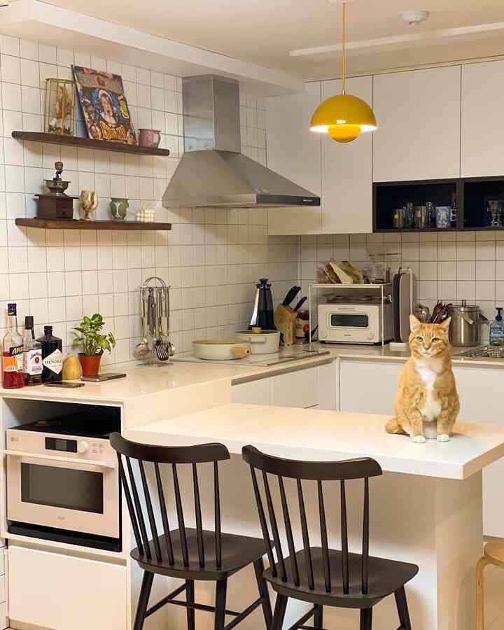 A modern, clean U-shaped kitchen in white and wood tones featuring a kitchen island with an orange cat sitting on it