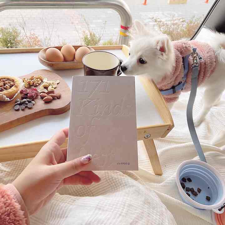 白を基調とした小さなテーブルには軽食とコーヒーが置かれ、ピンクの服を着た小型の白い犬がそばにいる雰囲気のある空間