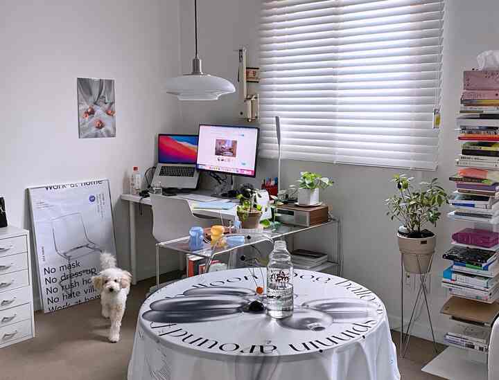 Bright white-toned home office workspace featuring a desk with monitors and a small dog in an organized room with window blinds