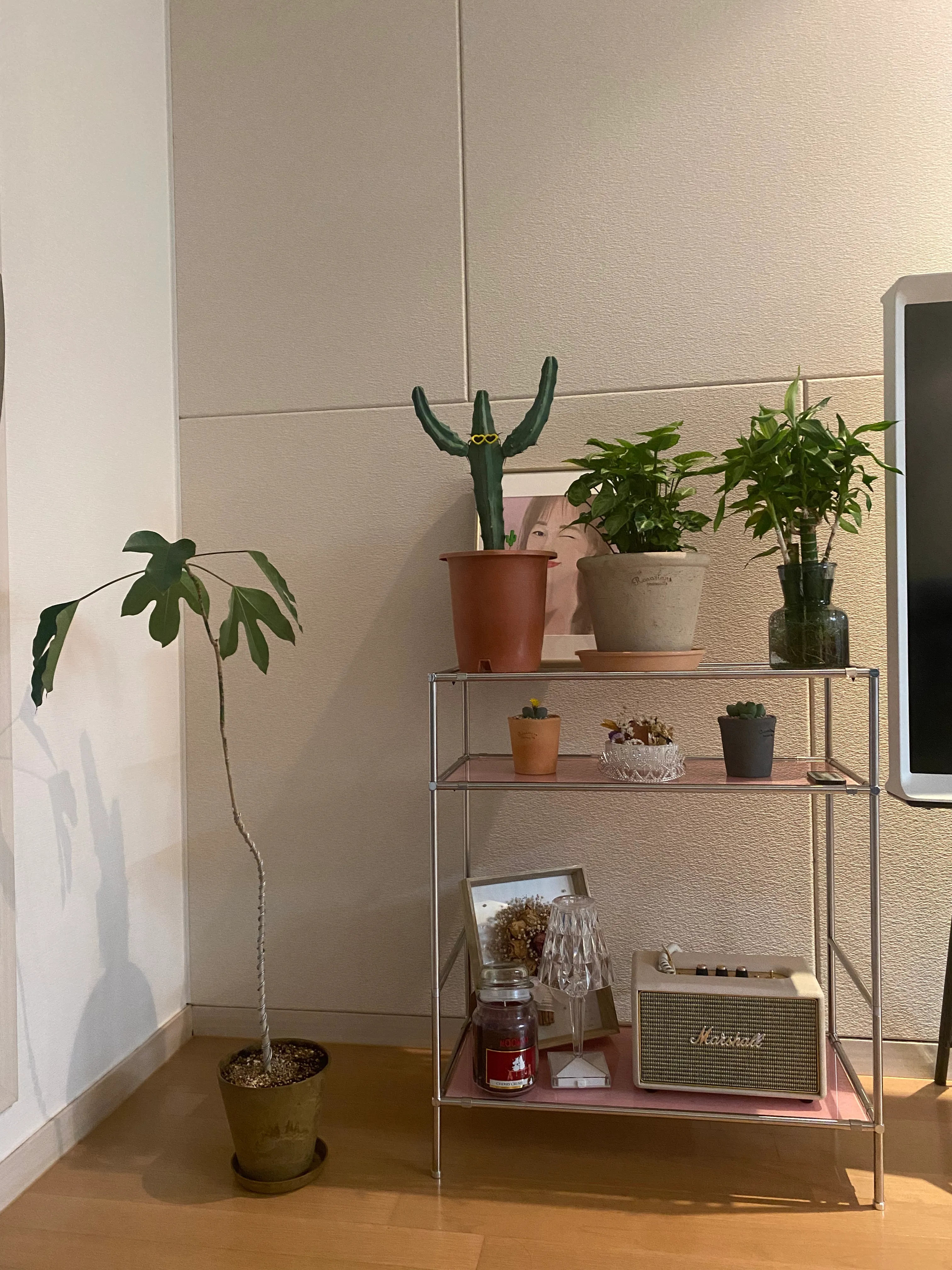 Sense Frame Glass Shelf user photo