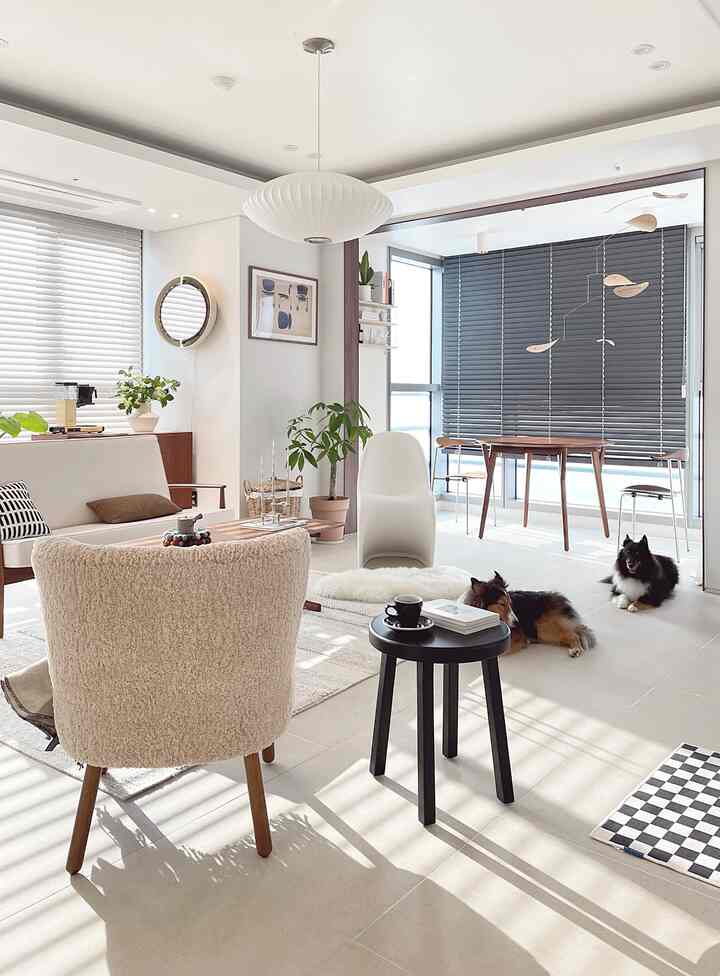 White and wood tone living room featuring mid-century modern furniture and two dogs creating a cozy atmosphere