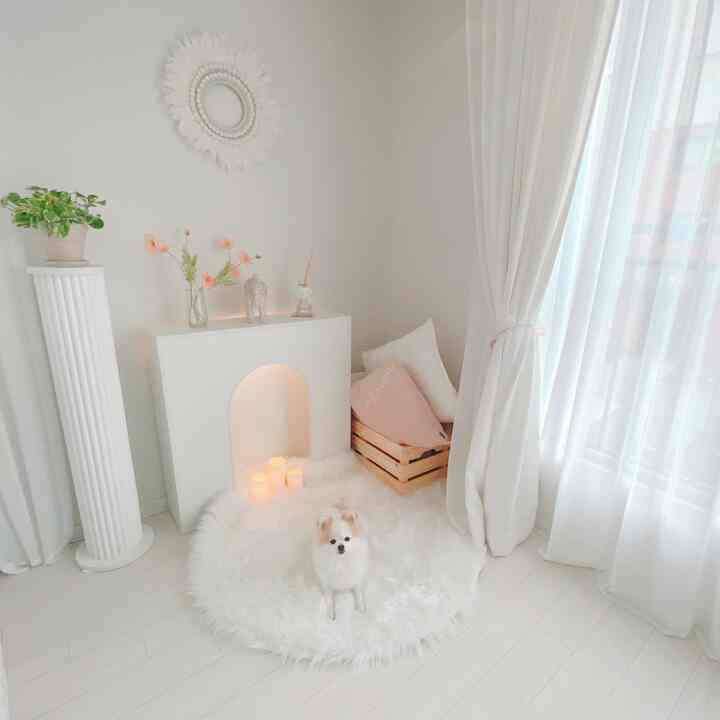 Bright white-toned living room featuring an arch console fireplace and a fluffy round rug with a dog, creating a natural atmosphere