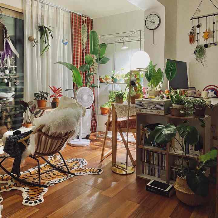 A living room dominated by white and brown tones featuring abundant plants, red plaid curtains, and a rattan rocking chair creating a cozy atmosphere