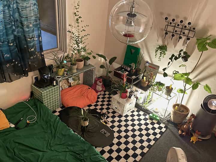 緑色とオレンジ色が映えるコンパクトなリビング、植物とペットの犬がいる落ち着いた自然な雰囲気のインテリア
