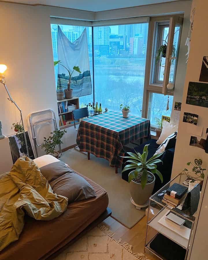 Bright blue-toned single household living space featuring a checkered tablecloth-covered dining table and indoor plants in a cozy setting