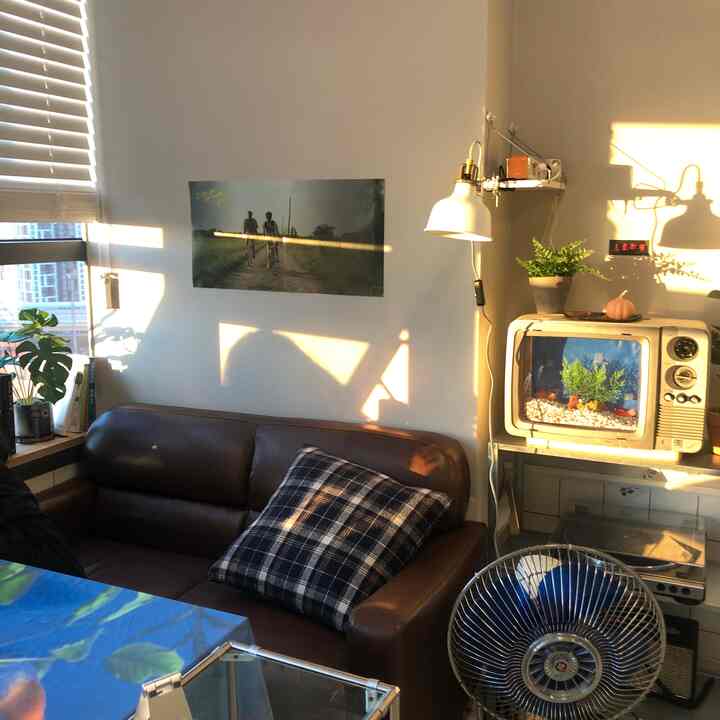 ブラウンレザーソファと白い壁があるアットホームなリビング、レトロ風のディスプレイと植物が配置された空間