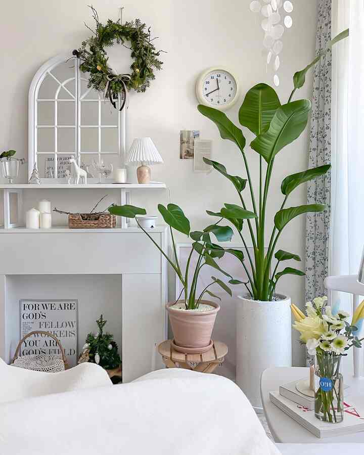 White and natural tone living room featuring large plants and clean furniture with a calm atmosphere
