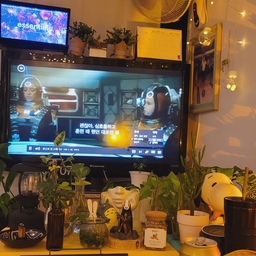 주말을 즐기는 방법
맥주 한잔에 미드시청.
