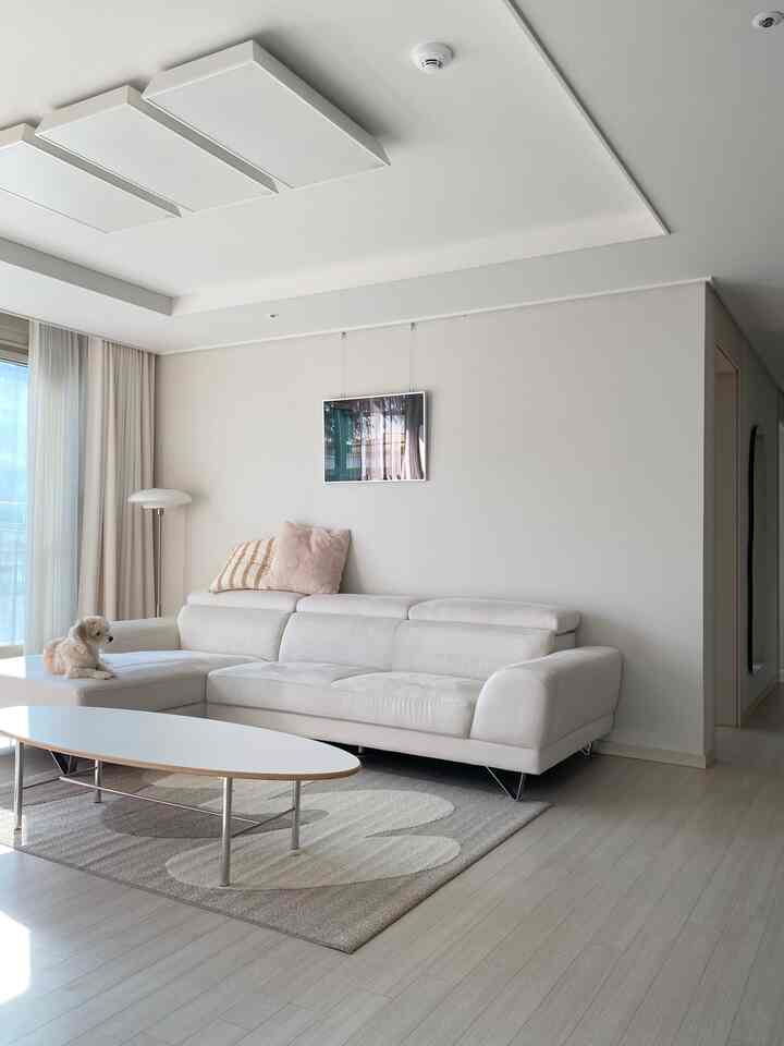 White and beige toned living room with a white sofa and oval coffee table, featuring a dog on the sofa in a natural modern style space