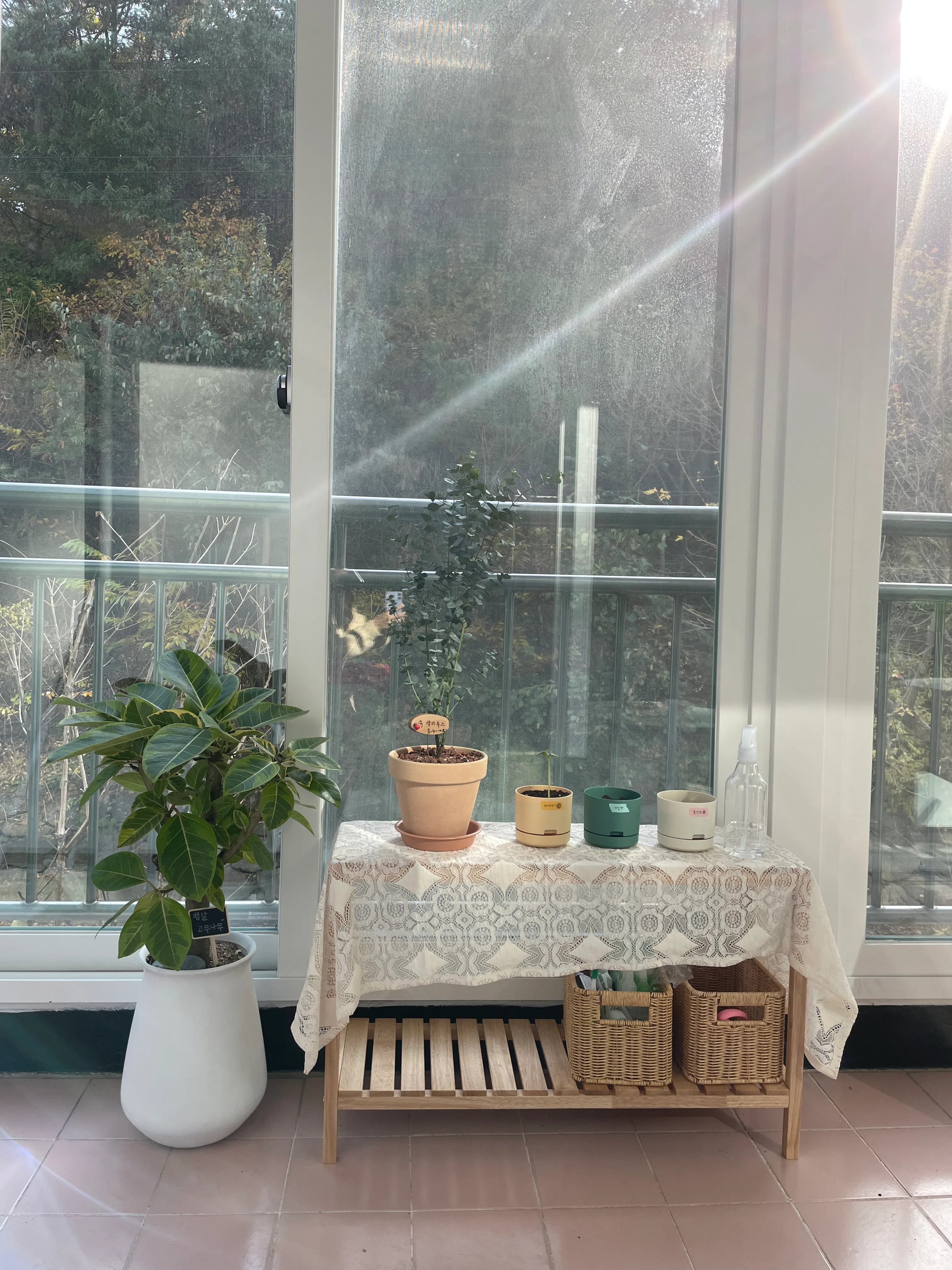 Solid Wood Plant Stand user photo