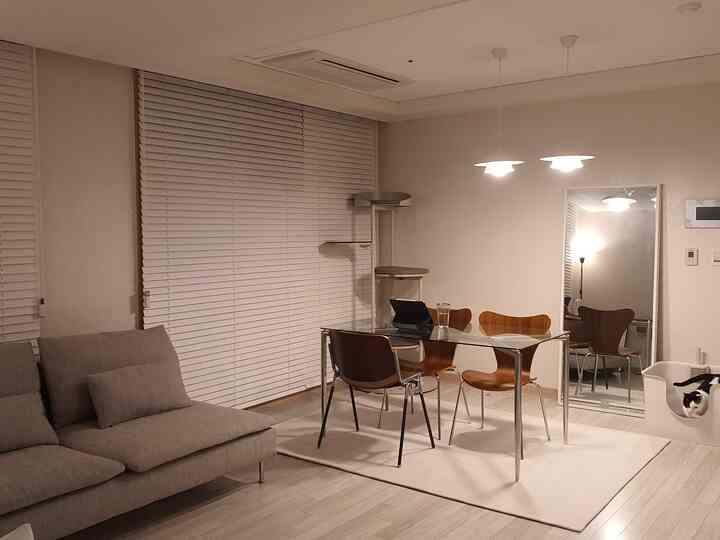 Minimal living room in white and wood tones featuring sofa, dining set, cat tower, and a pet cat, creating a cozy atmosphere