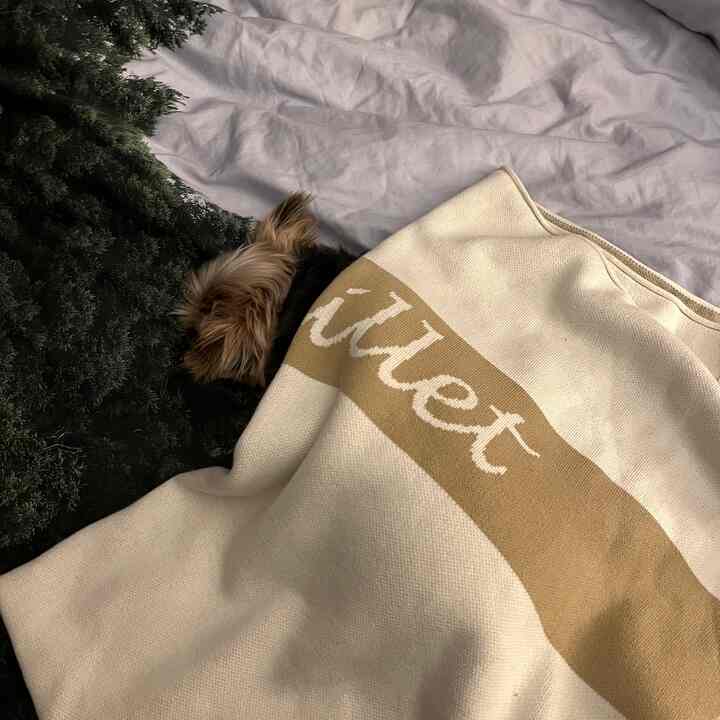 A cozy pet space with beige natural-colored bedding and blanket partially covering a small dog