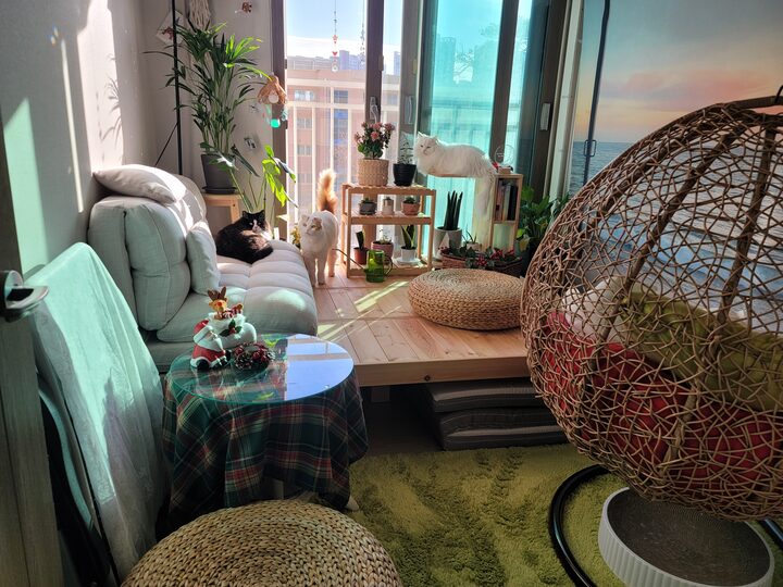 short form carousel card thumbnail