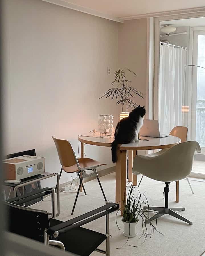 Natural-toned round table with assorted chairs and a cat sitting, creating a cozy home office space