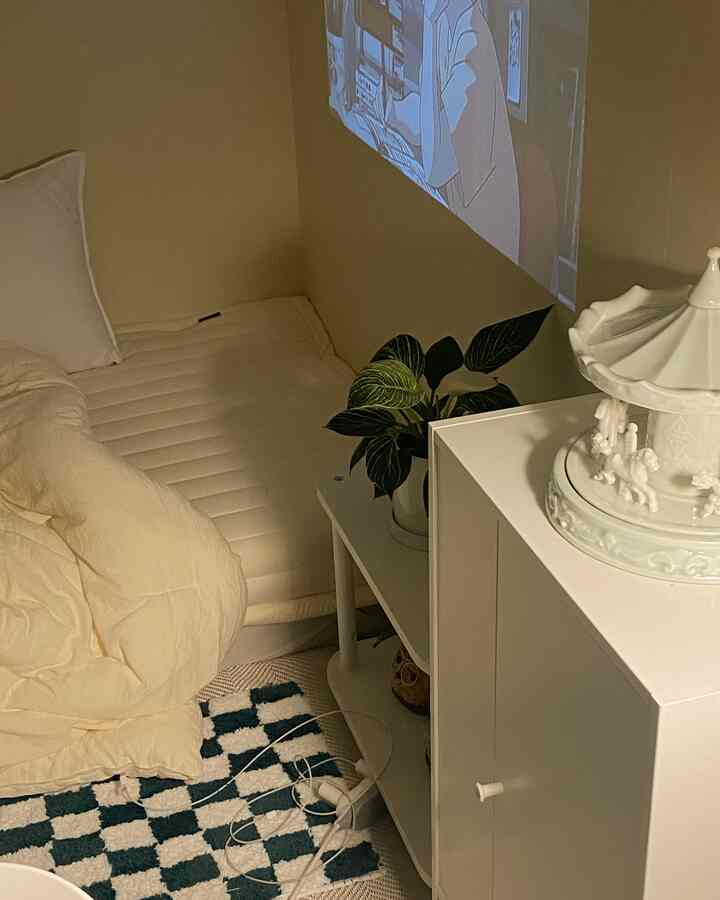 Beige and white toned bedroom featuring a checkered rug and a plant with a cozy atmosphere