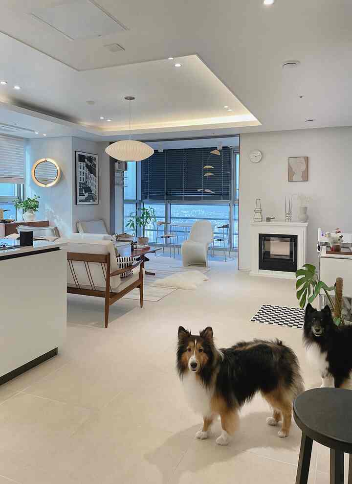 Bright white and natural modern toned living room featuring two dogs, sofa, and modern chairs creating a calm ambiance