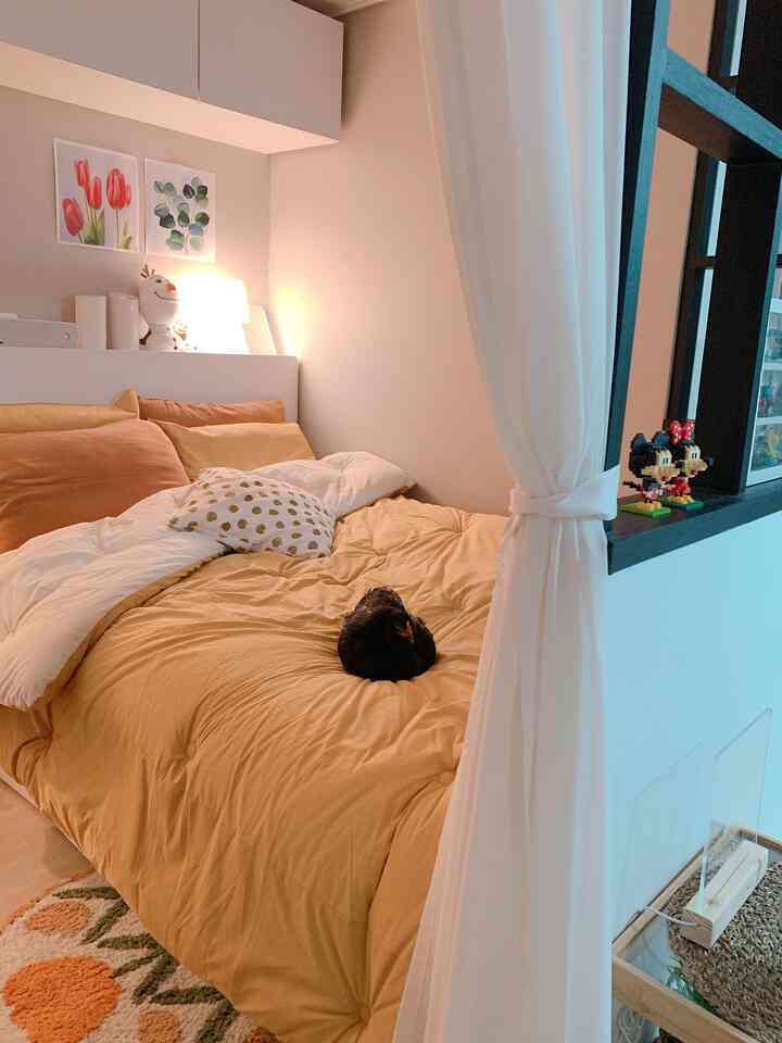 Warm mustard and white toned bedroom featuring a bed with a pet chicken, bright and cozy atmosphere