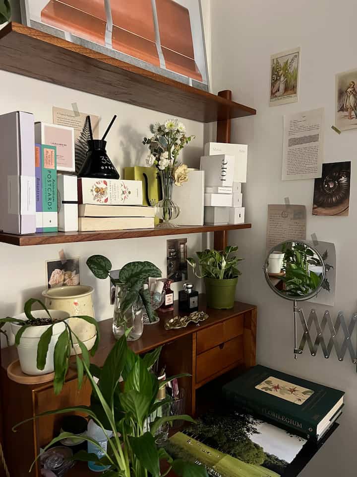 ナチュラルブラウンの木製棚とキャビネット、様々な植物が配置されたコンパクトなワンルームの雰囲気のあるインテリア