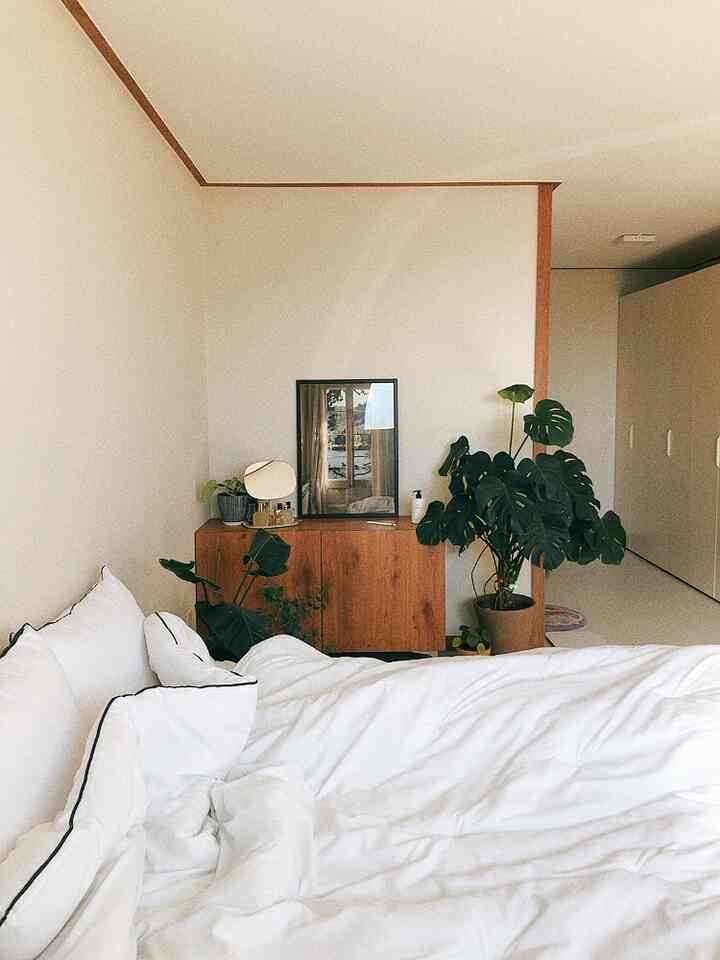 ホワイトの寝具と木目調家具、モンステラの植物が配置された自然な雰囲気の寝室