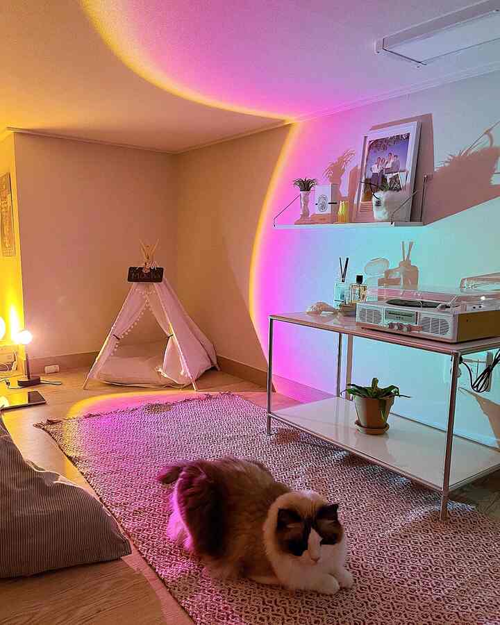 ナチュラルトーンと白い壁のリビング、ペットハウスとラグが配置された猫のための居心地の良い空間