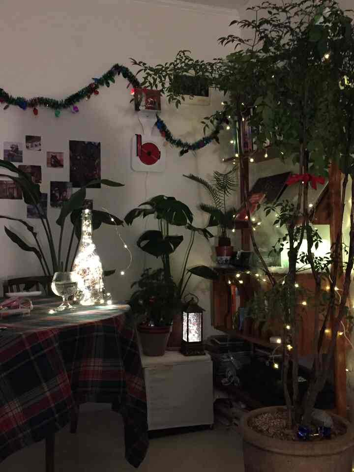 Studio apartment dining area with Christmas garland and lights, plaid tablecloth, abundant indoor plants and vintage analog decor creating cozy atmosphere