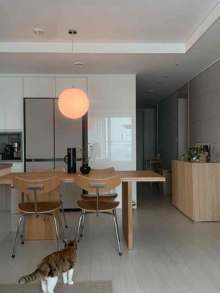 ホワイトと木目調のダイニング、木製のテーブルと椅子、猫がいるナチュラルでモダンな印象的な空間