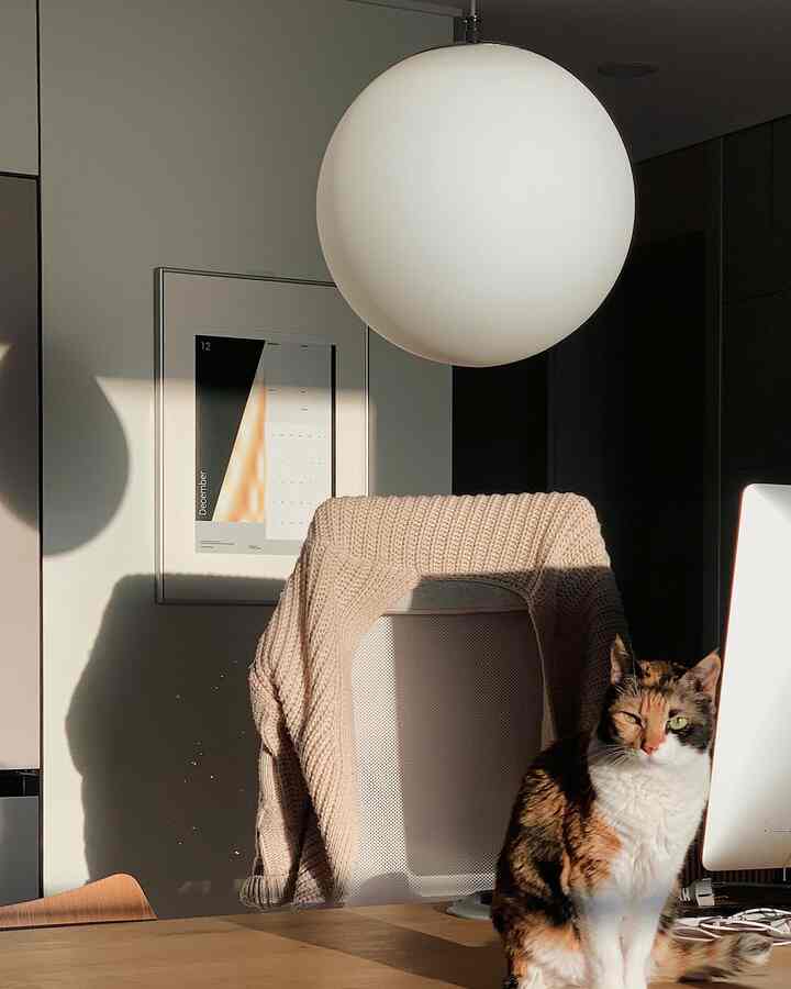 Beige-toned home office featuring desk, monitor, and a cat sitting on the desk, creating a cozy atmosphere