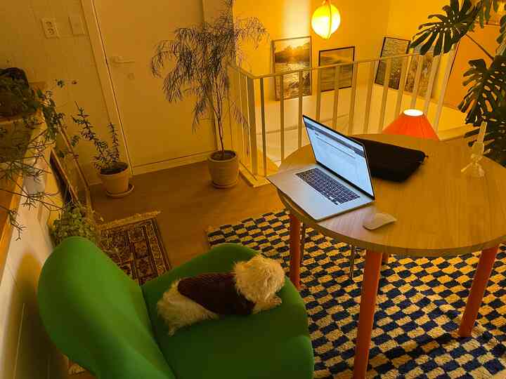 Warm yellow-toned small space with green armchair, round wooden dining table, and a dog in a cozy home office setup