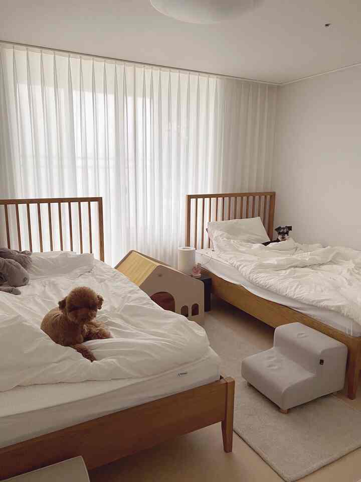 白とナチュラルな木目調の寝室、透けるシフォンカーテンとツインの木製ベッド、2匹の犬がくつろぐ雰囲気のあるインテリア