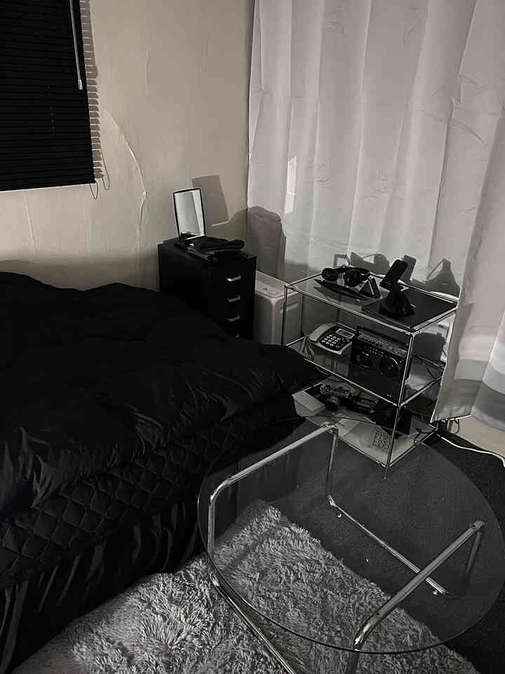 Black and white toned single bedroom featuring bed, dresser, blinds, and rug arranged in a compact modern space