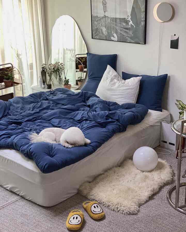 Navy and white-toned bedroom featuring cozy bedding, rug, a small dog, and plants creating a warm atmosphere