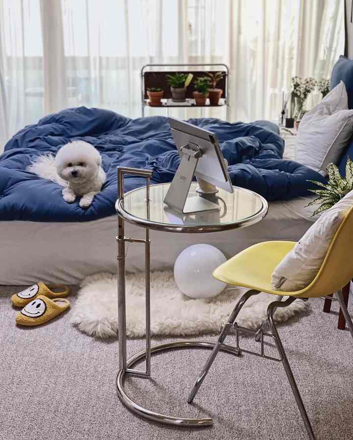 Natural-toned bedroom featuring blue duvet, round glass side table, and a cozy white dog resting comfortably