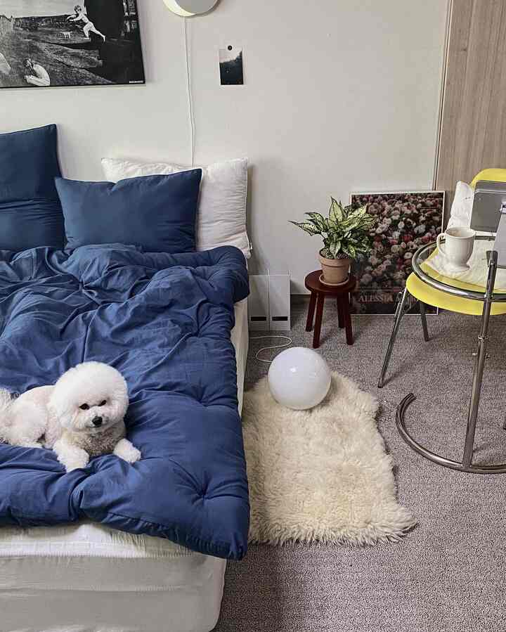 白と青の色調の寝室、ふわふわのラグと犬がいる、落ち着いたモダンでナチュラルな雰囲気のインテリア