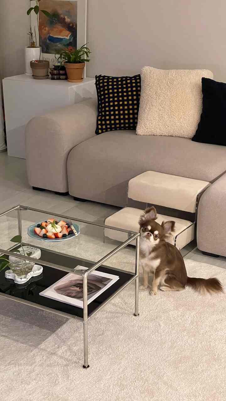 Living room with beige sofa and white rug, featuring glass coffee table and pet steps, creating a cozy atmosphere