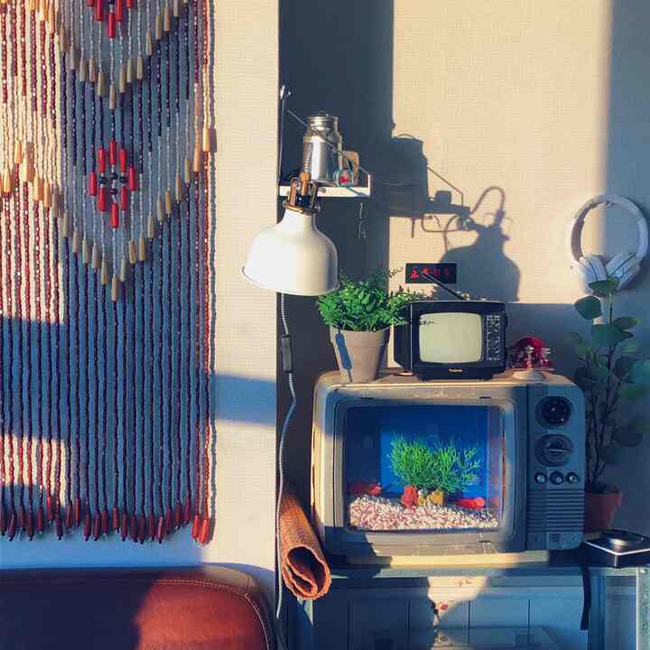 Warm-toned vintage style living room featuring a vintage TV aquarium, wall-mounted lamp, and plants creating a cozy atmosphere