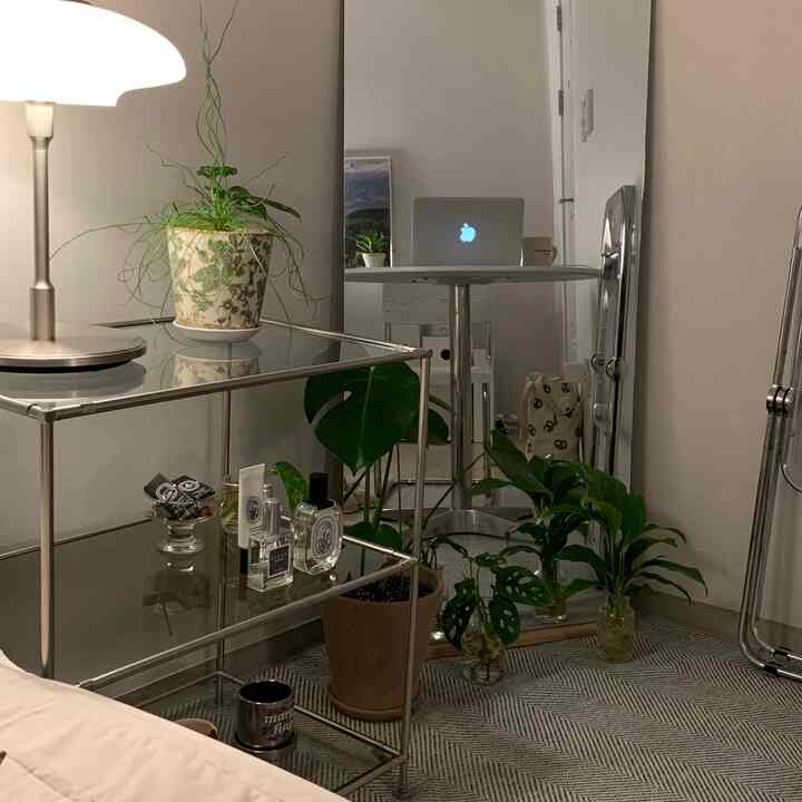 ベージュの壁とカーペットのナチュラルモダンなリビング、透明な棚と複数の植物が配置された雰囲気のある空間