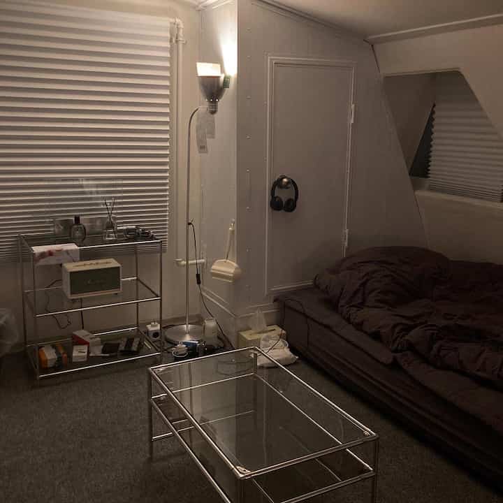 Gray-toned small living room featuring modern modular furniture and a sofa bed creating a cozy atmosphere