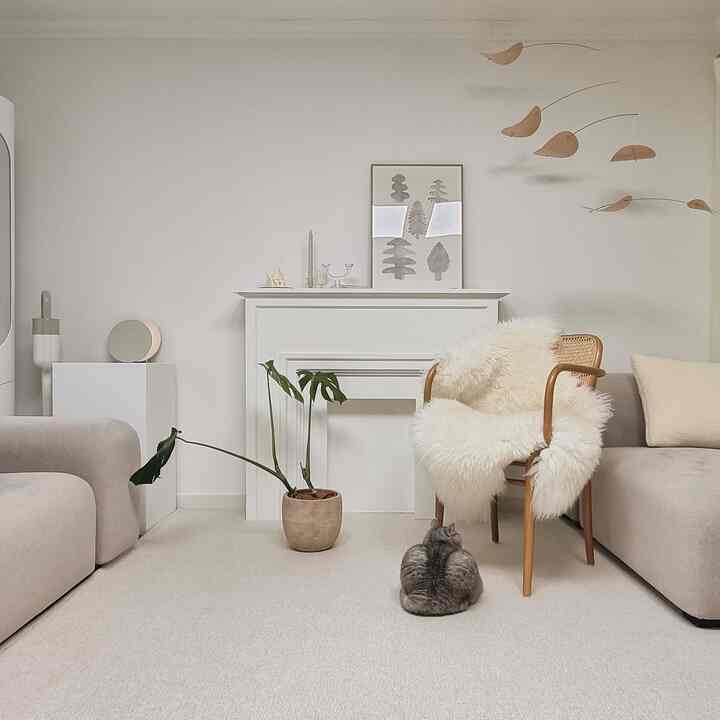 A simple living room in white and beige tones, featuring natural wood furniture and a pet cat creating a cozy atmosphere