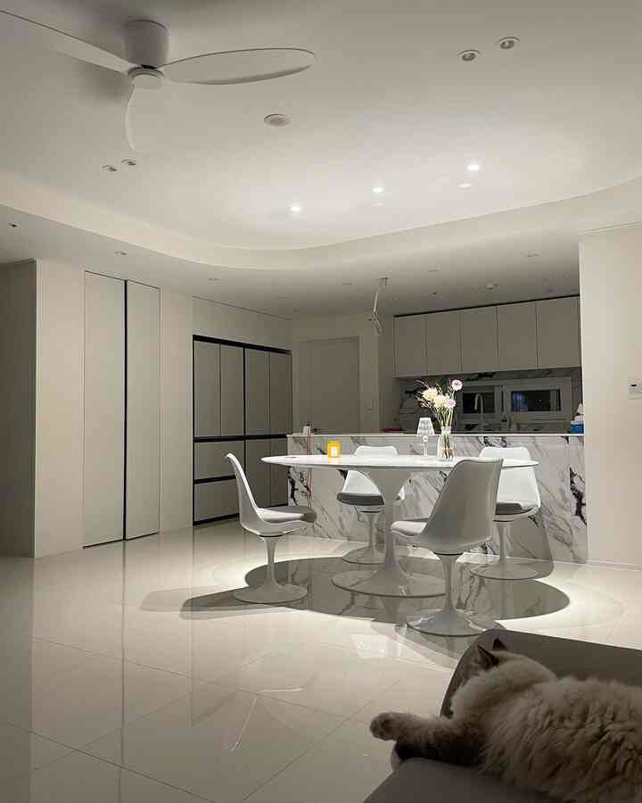白を基調としたキッチンとキッチンアイランド、ソファにくつろぐ猫がいる清潔感のある空間