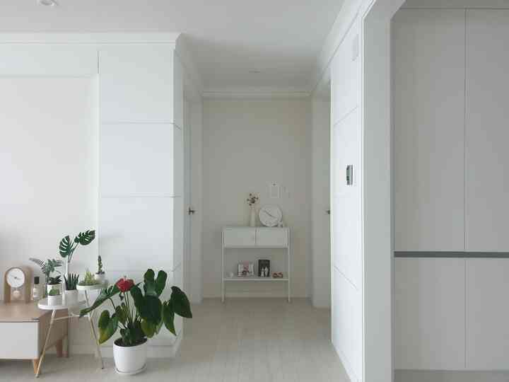White and natural-toned living room featuring plants and a console table with a simple, clean atmosphere