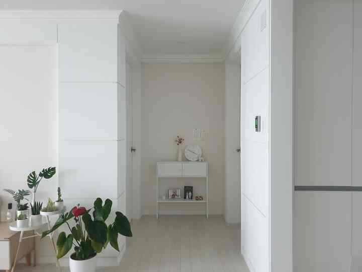 White and natural-toned entrance space featuring a clean storage console, wall clock, and plants in a simple modern setting