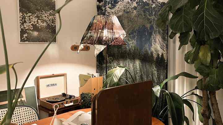 A vintage-style living room in brown and green tones, featuring rattan lighting and large plants creating a cozy atmosphere